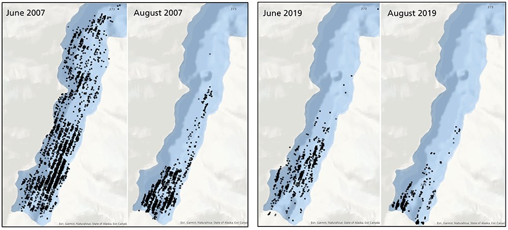 Gende fig 3-4_web Two sets of two panels showing summer distribution of icebergs and seals from 2007 and 2019.