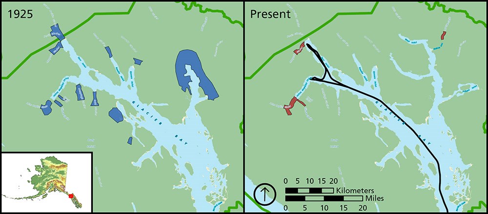 Gende_Fig4_web A comparison of the extent of tidewater glaciers in Glacier Bay from 1925 to today.