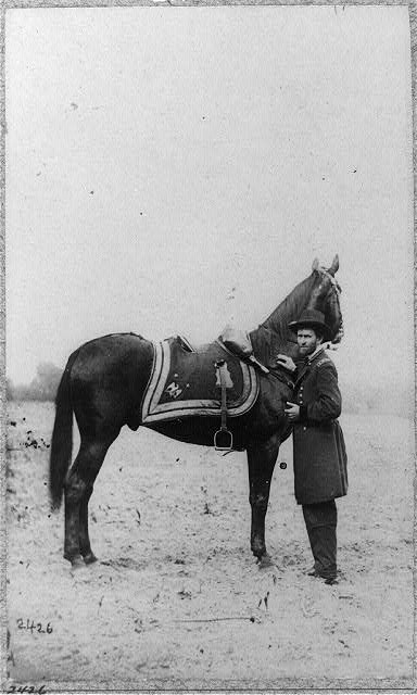 General U.S. Grant and Horse (LOC) Man wearing U.S. Army uniform standing in front of a horse in an open field.