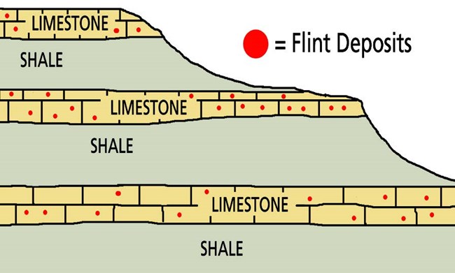 Cross sectional illustration of limestone, shale and flint layering in the Kansas Flint Hills