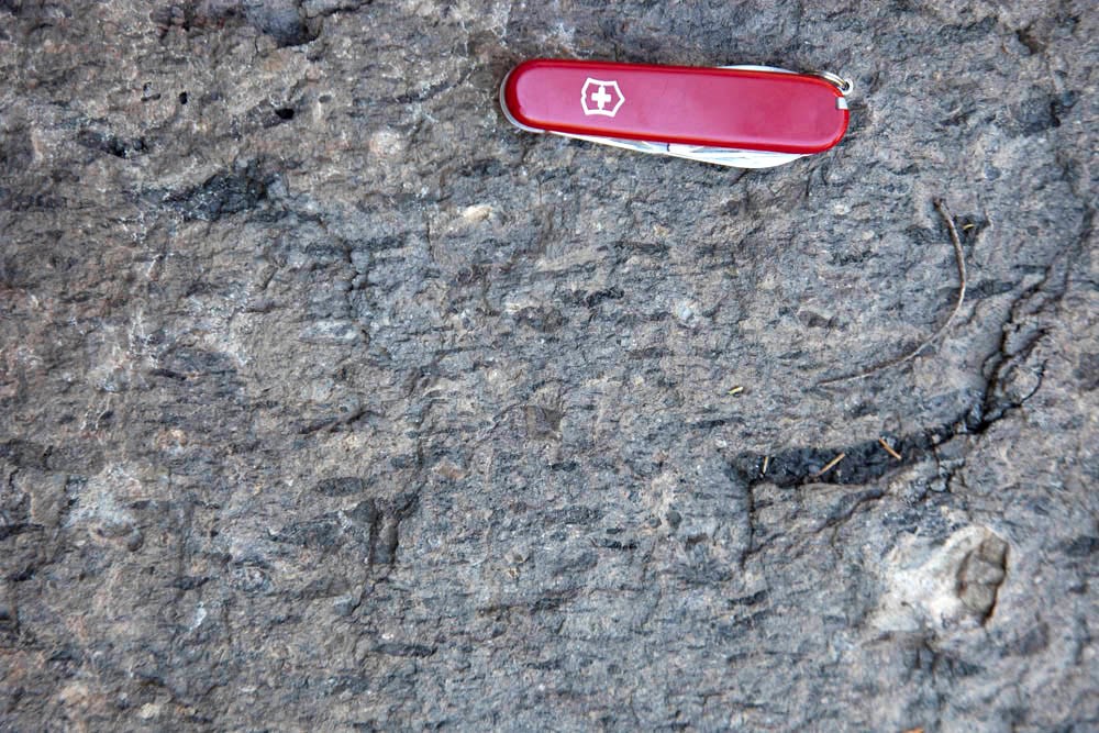 copyrighted photo showing close-up rock texture of welded tuff