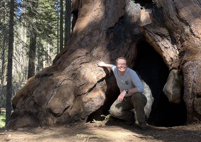 Smiling face of George Pharris crouching at the base of a giant sequoia tree.