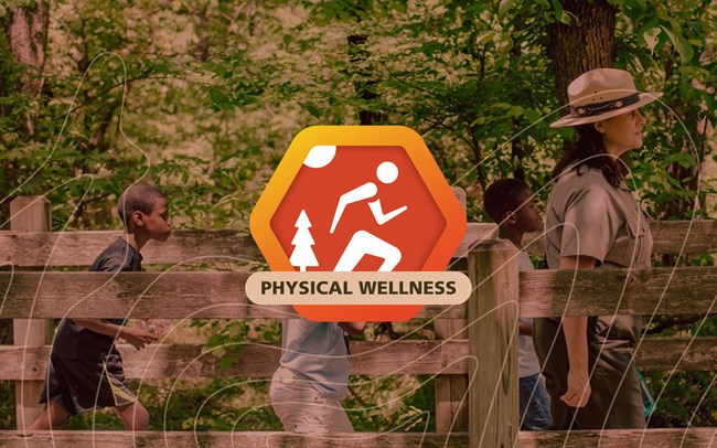 Physical Wellness Orange toned hexagon graphic with a stylized running figure on top of a photo a bronze statue of George Washington Carver holding a plant.