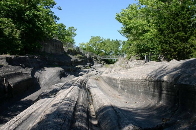 smooth carved out rocks surrounded by forest