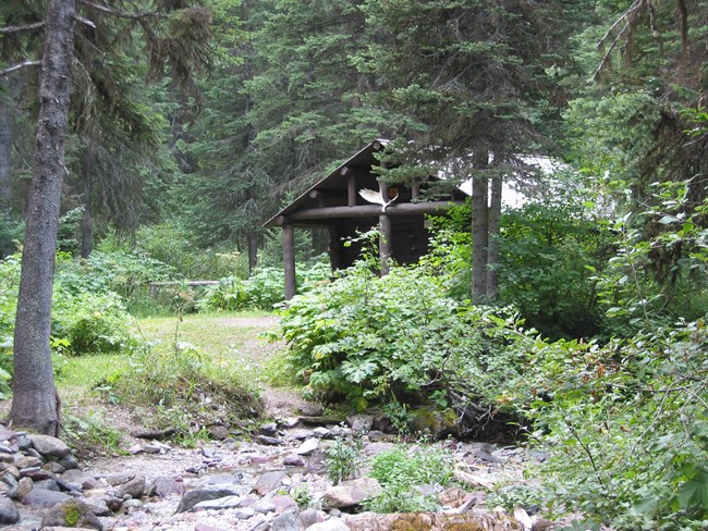 Glacier maintains a system of patrol cabins in the backcountry that help park staff to travel light when on patrol or hitch. Photo David Restivo, NPS Wood cabin nestled in a green forest at Glacier National Park.