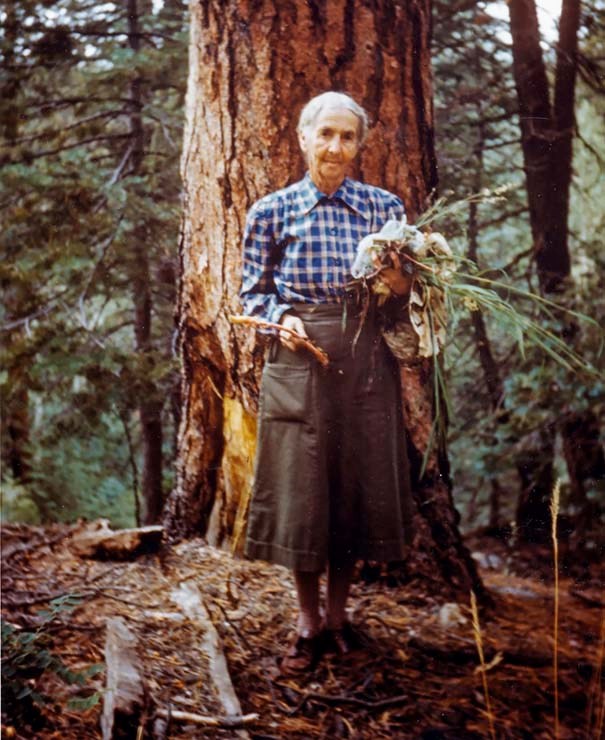 a woman with white hair, wearing a brown dress and a blue and white checkered shirt is holding some plant specimens she has collected, and is standing in front of a large ponderosa pine tree.
