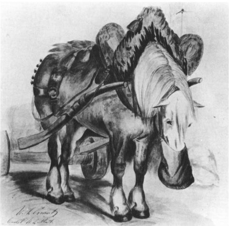 drawing a horse feeding out of a trough.