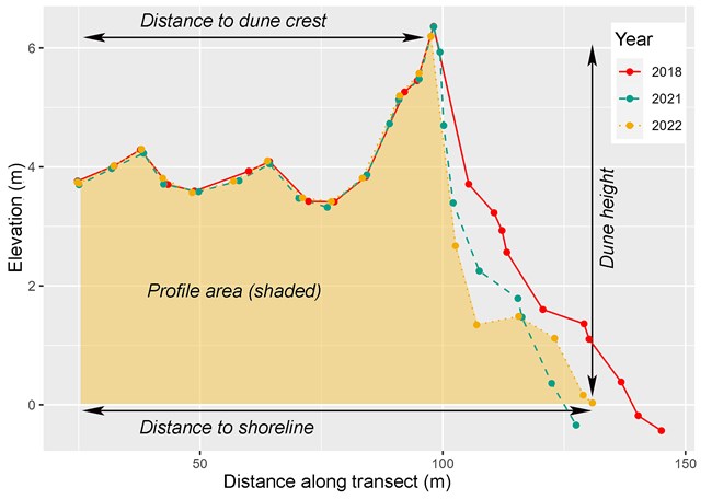Graph of beach and dune elevations Graph of beach and dune elevations