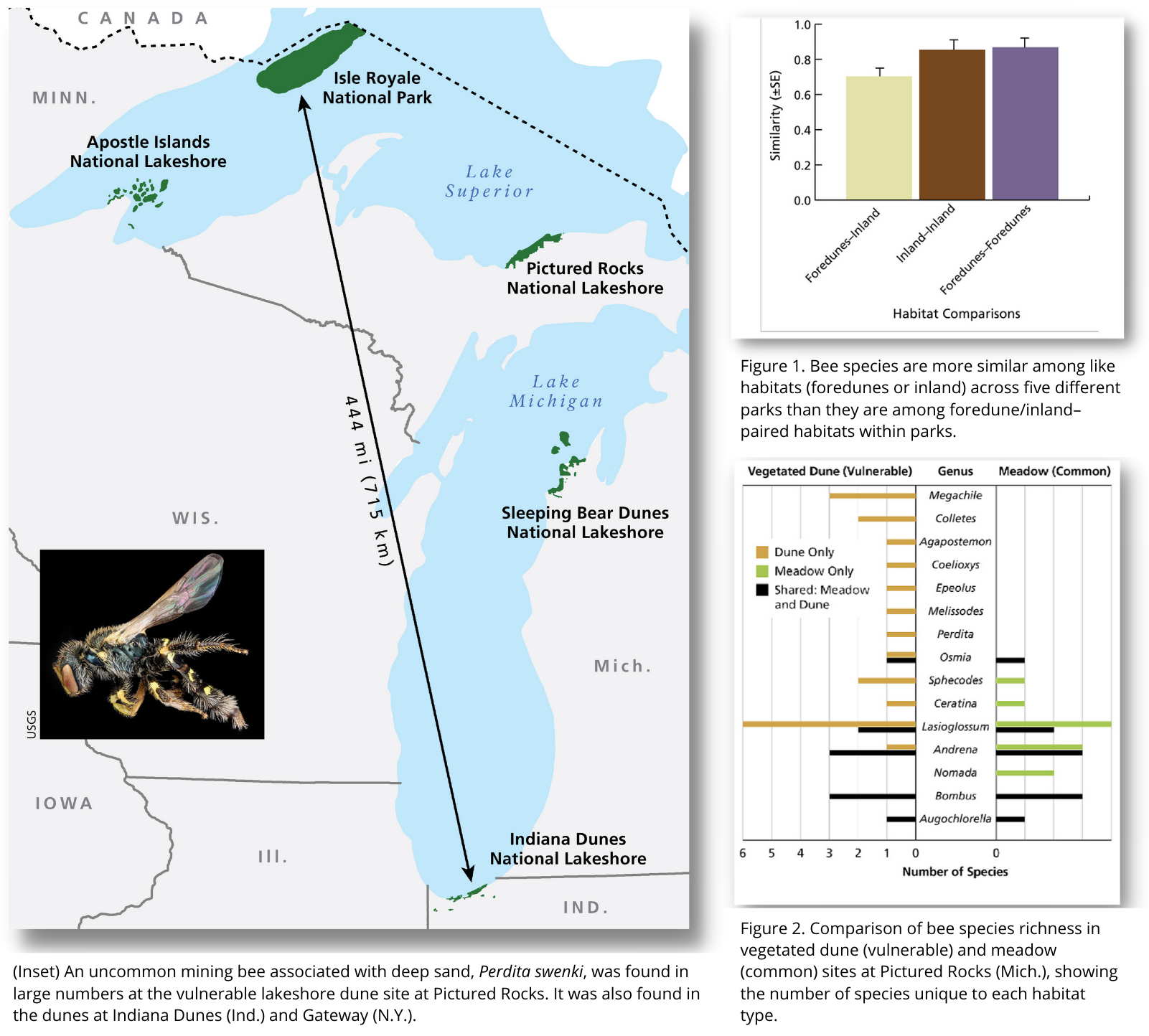 Map of Great Lakes locations where bee, Perdita swenki was found (left), graph of similarity in bee species across habitats (right top), and comparison of bee species richness in different habitats (right bottom).