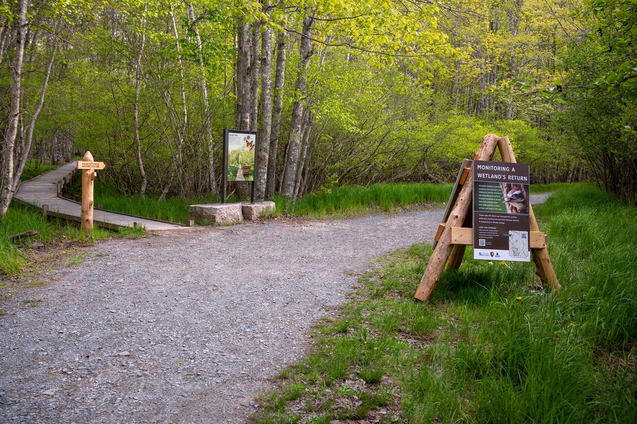 Wood structure with three legs and display panels attached is placed in a densely forested area next to a gravel pathway. Across the path, there is the entrance to a wood boardwalk trail with a wood trail marker and a vertical wayside. Wood structure with three legs and display panels attached is placed in a densely forested area next to a gravel pathway. Across the path, there is the entrance to a wood boardwalk trail with a wood trail marker and a vertical wayside.