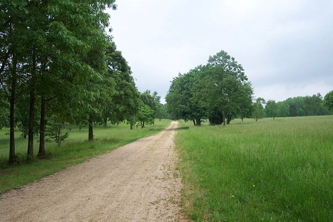 Image of a road surrounded by fields and trees