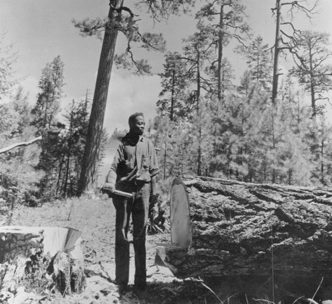 A Black man stands with an ax next to a fallen tree in the forest.