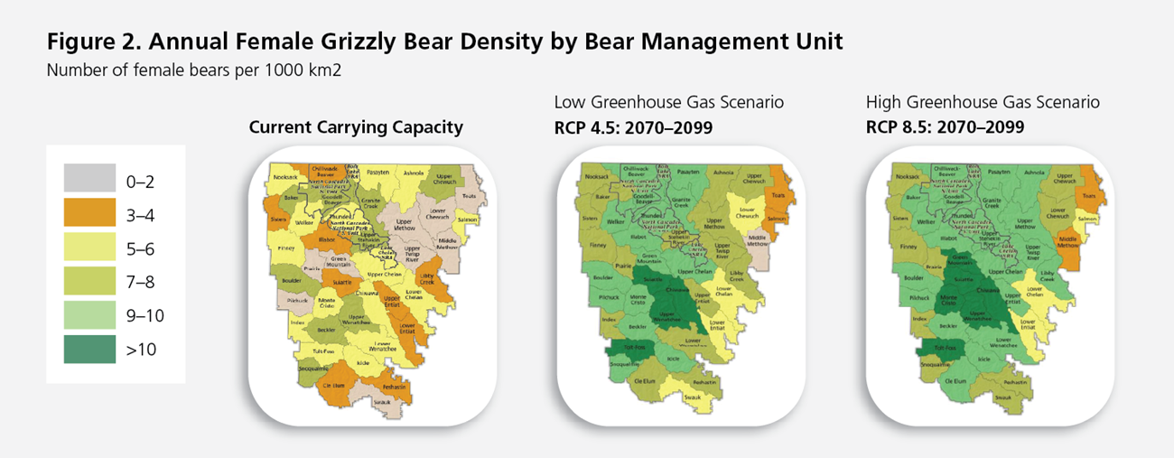 A model showing a map of the NCE, indicating that grizzly density is projected to increase with higher greenhouse gas emissions.