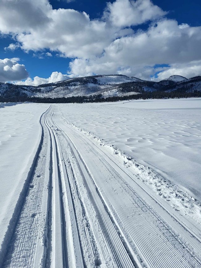 A groomed trail through the snow.