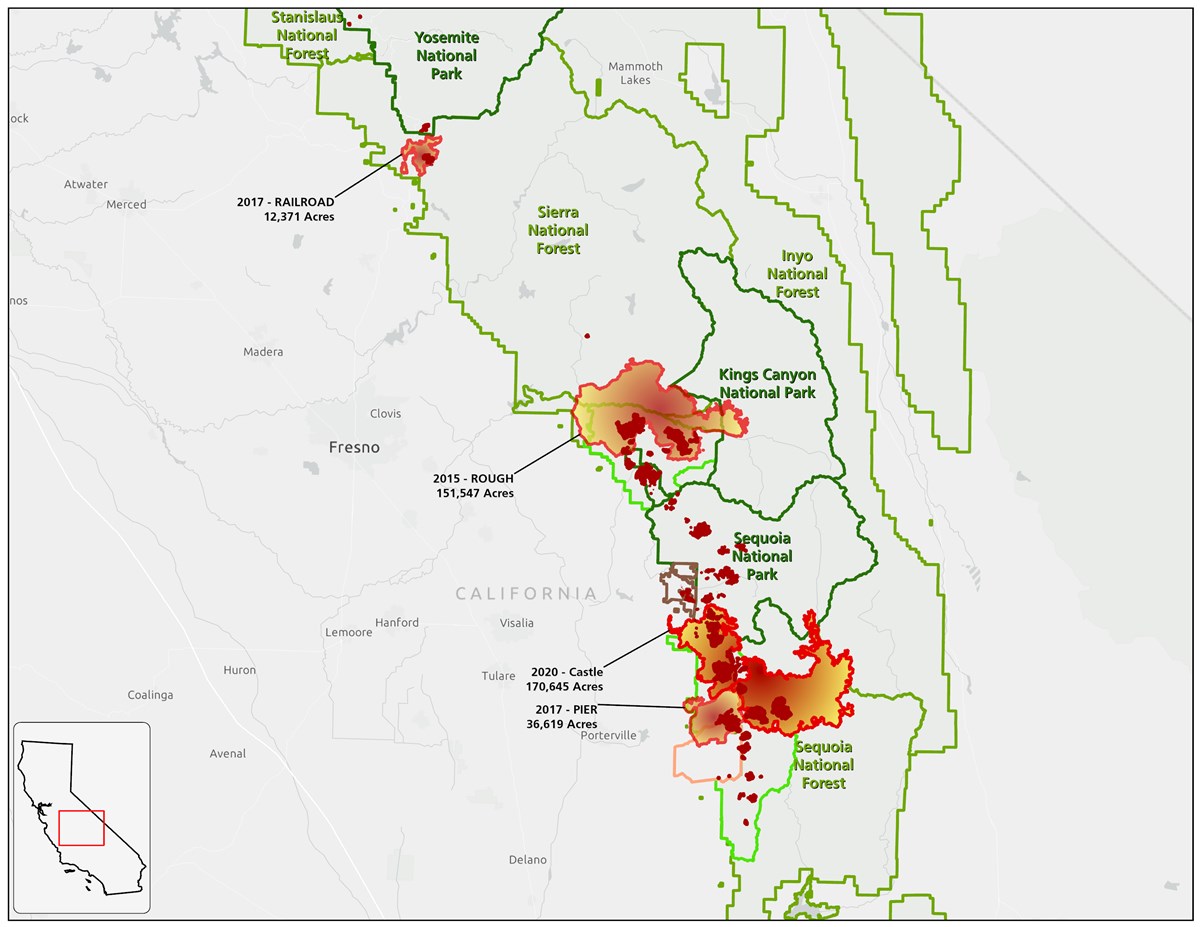 Map of Fires Affecting Giant Sequoia Groves 2015-2020 Map highlights four Sierra Nevada wildfires and sequoia groves affected, 2015-2020. National park and national forest boundaries are also shown.