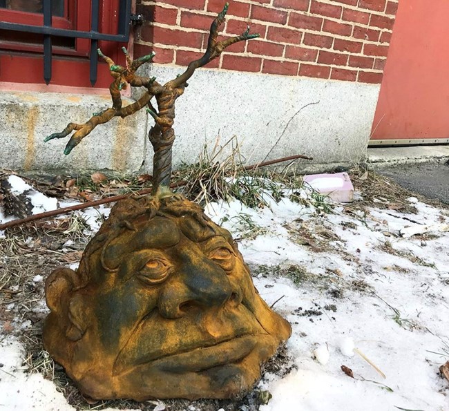 A cast iron head with stem sprouting out of the ground