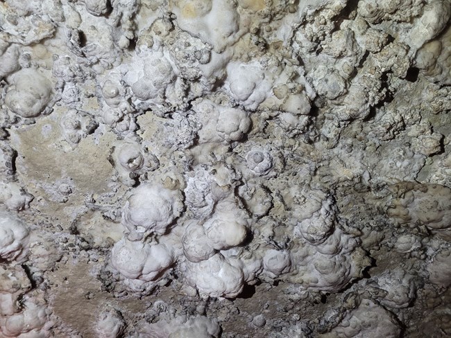 Gypsum blisters The bumpy white ceiling looks like a blanket of snow spotted with textured snowballs.