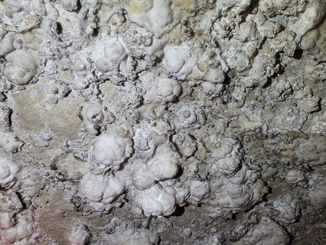 The bumpy white ceiling looks like a blanket of snow spotted with textured snowballs.