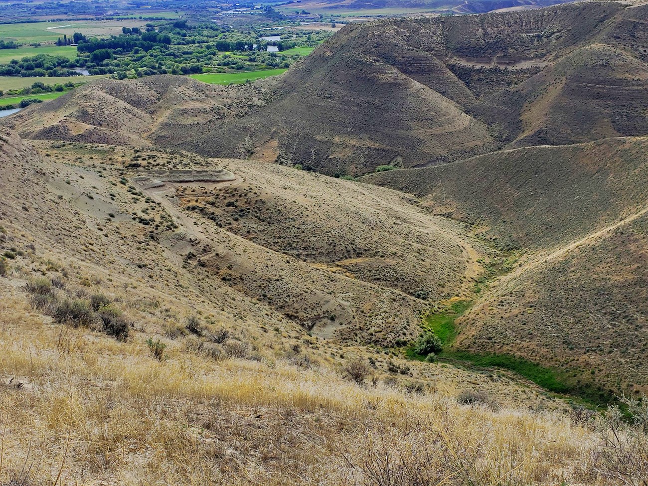 grass covered hills