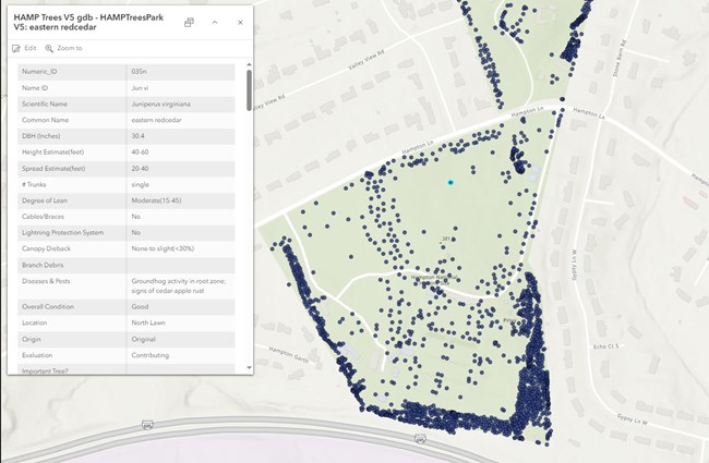 Tree Map For Hampton