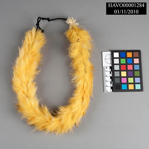 Feathers attached to yellow colored cotton cord.