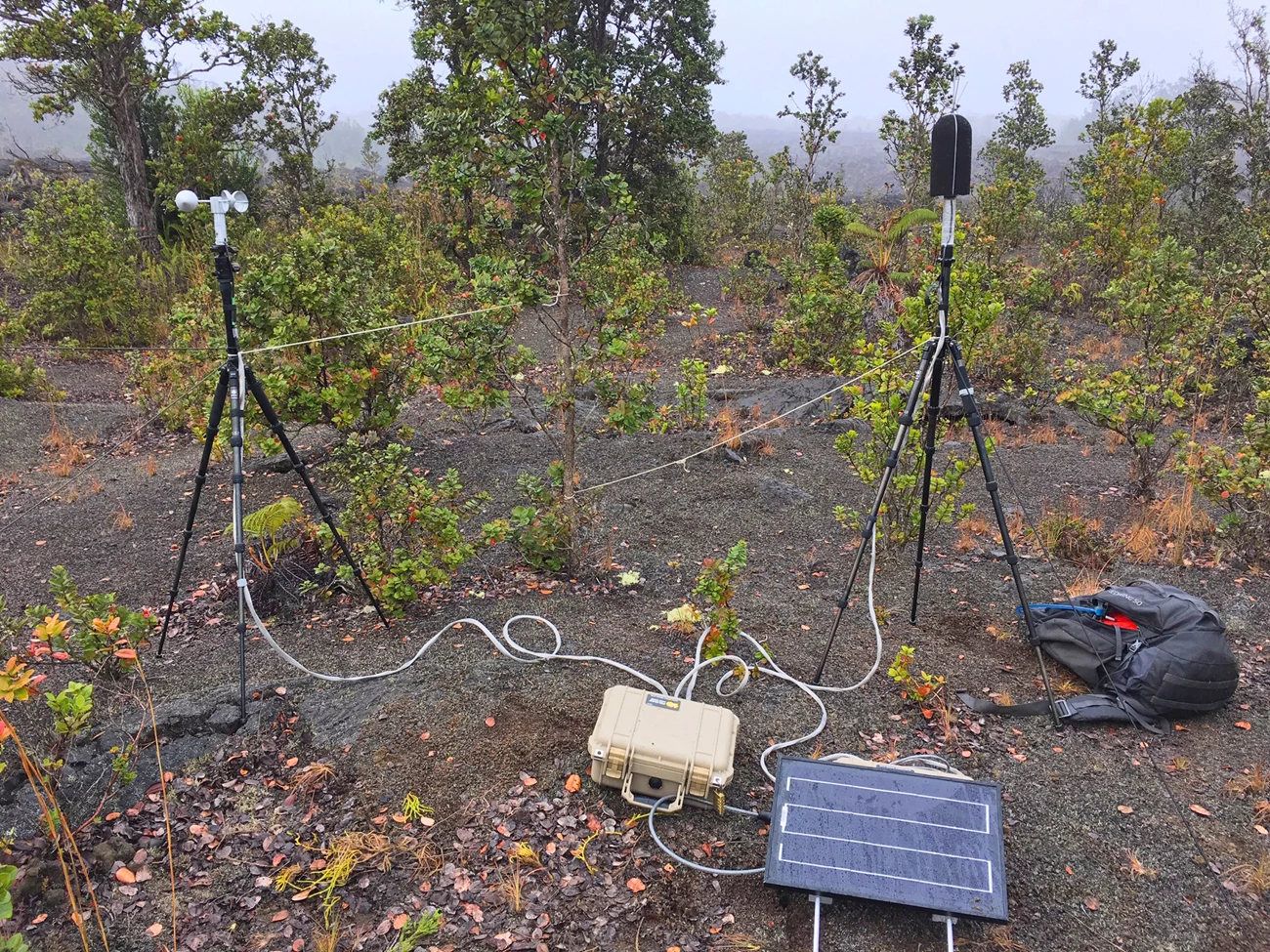 Hawai’i Volcanoes audio recording set-up Microphone on a tripod, wind measurement equipment on another tripod, and a solar pane, all wired to a weatherproof box in a sparsely vegetated volcanic landscape shrouded in fog.