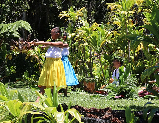 Hula kahiko is traditionally performed as part of a ceremony, set to an oli (chant) and accompanied by percussion instruments. Children dancing on a hula platform with a man drumming a gourd.