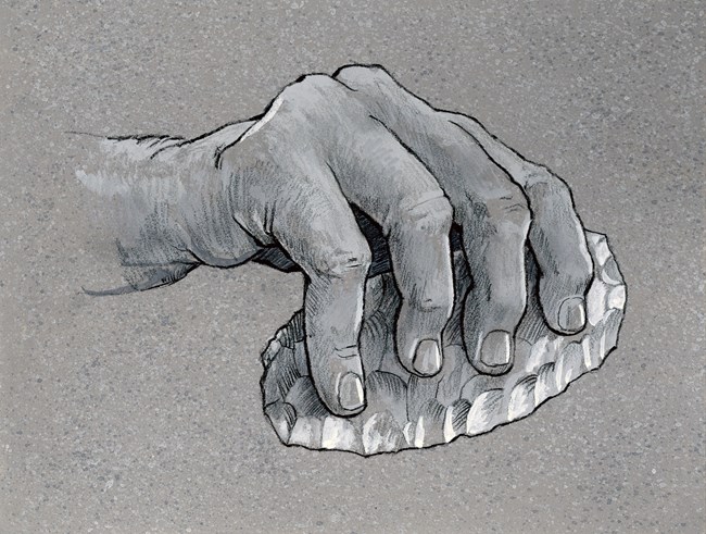 Paleo hand w knife-scraper for butchering Black and white illustration of a hand holding an oval stone cutting tool.