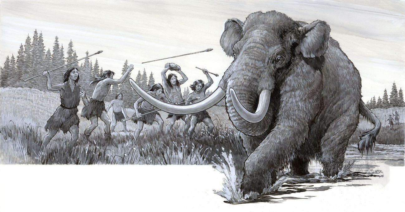 Eight hunters attack a hairy elephant wading through a wetland with fir trees in the background.