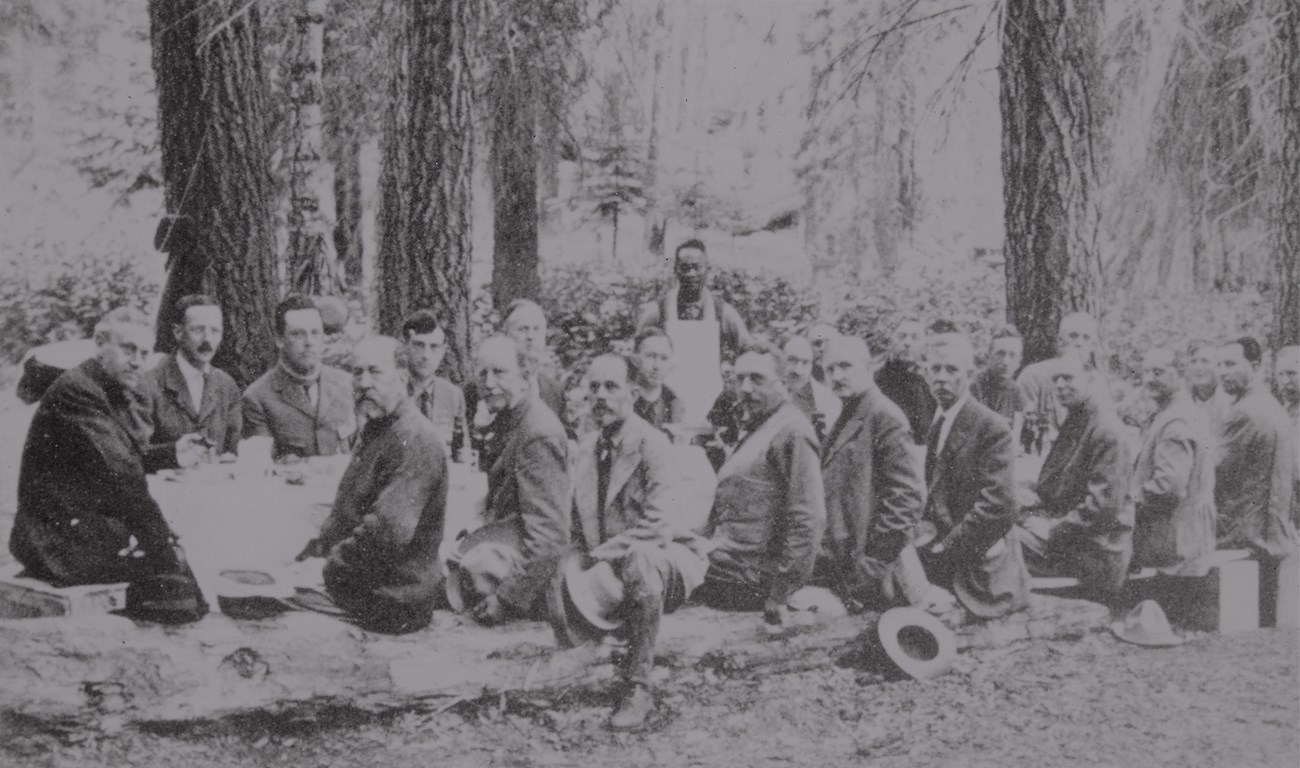 Group of men sitting on longs around a large table with white tablecloth, under Sequoia trees.