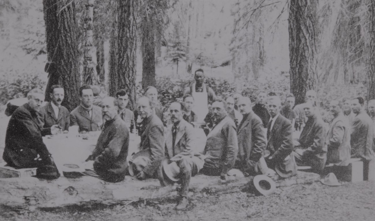 Mather mountain party dinner Group of men sitting on longs around a large table with white tablecloth, under Sequoia trees.