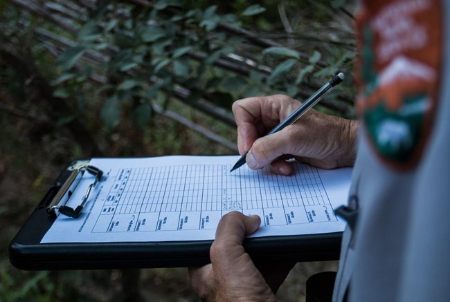 A view over the shoulder of a person in NPS uniform, holding a pencil to a clipboard