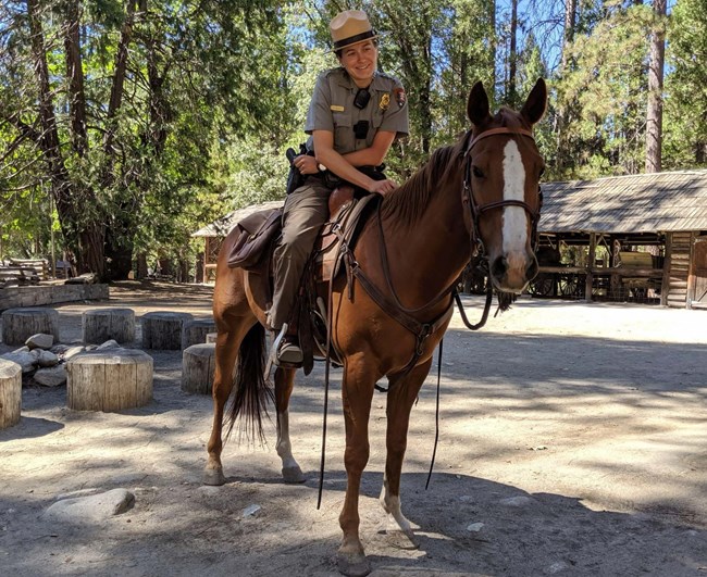 A female ranger in uniform sits on top of a brown horse.