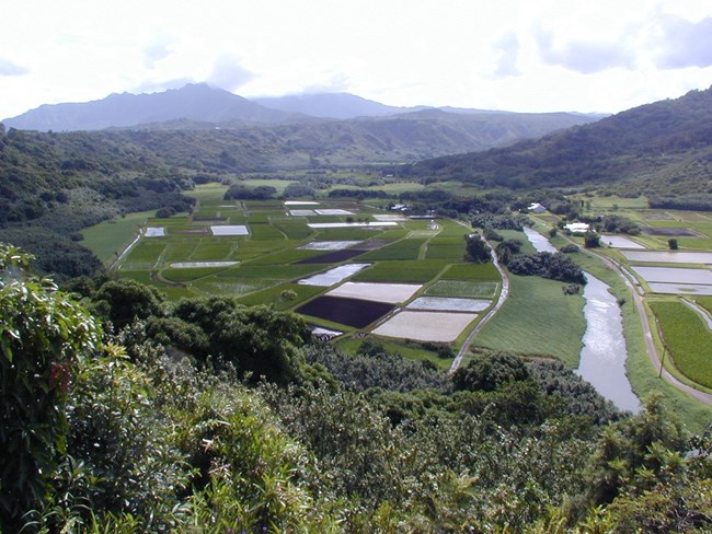 Hanalei flooding disaster in 2007. Hanalei flooding disaster in 2007.
