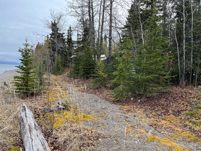 A cabin barely visible in dense vegetation