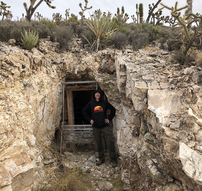 Man stands near the frame of a harp trap in front of an abandoned mine entrance. This trap is used for catching bats as they fly from the mine.