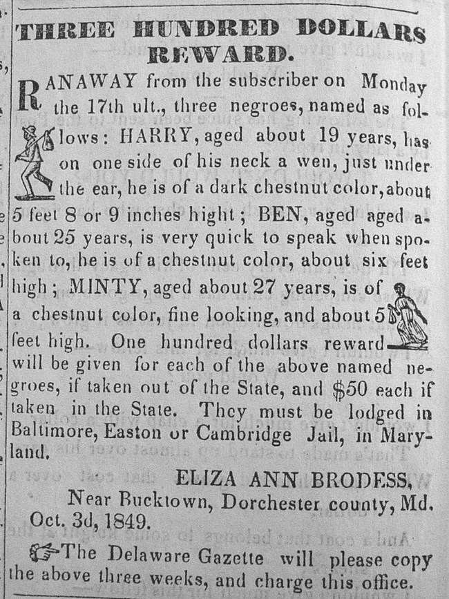 Newspaper advertisement titled, Three Hundred Dollars Reward. Describes three runaway slaves named Harry, Ben, and Minty with $100 reward each for their return.