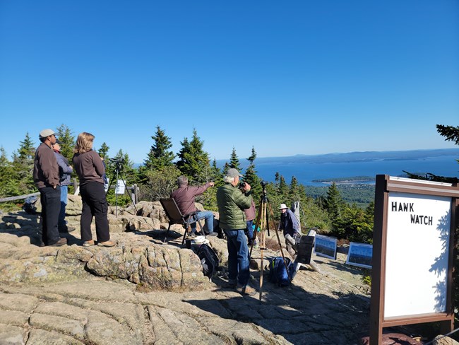Volunteers and park visitors view raptors at the Hawk Watch site overlooking the ocean.