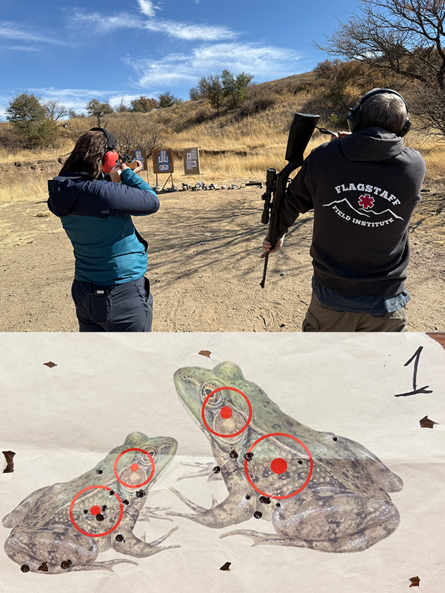Firearms training Two people shoot rifles at targets about 20 meters away. The targets are printed images of bullfrogs and this figure shows closeups of the targets with bullet holes in them.