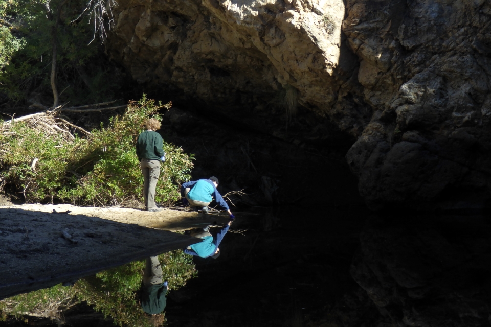 Two field technicians, one standing and one crouched down on a sandy beach reaching into water, collect water from a large, black, reflective pool of water under a giant rock overhang.