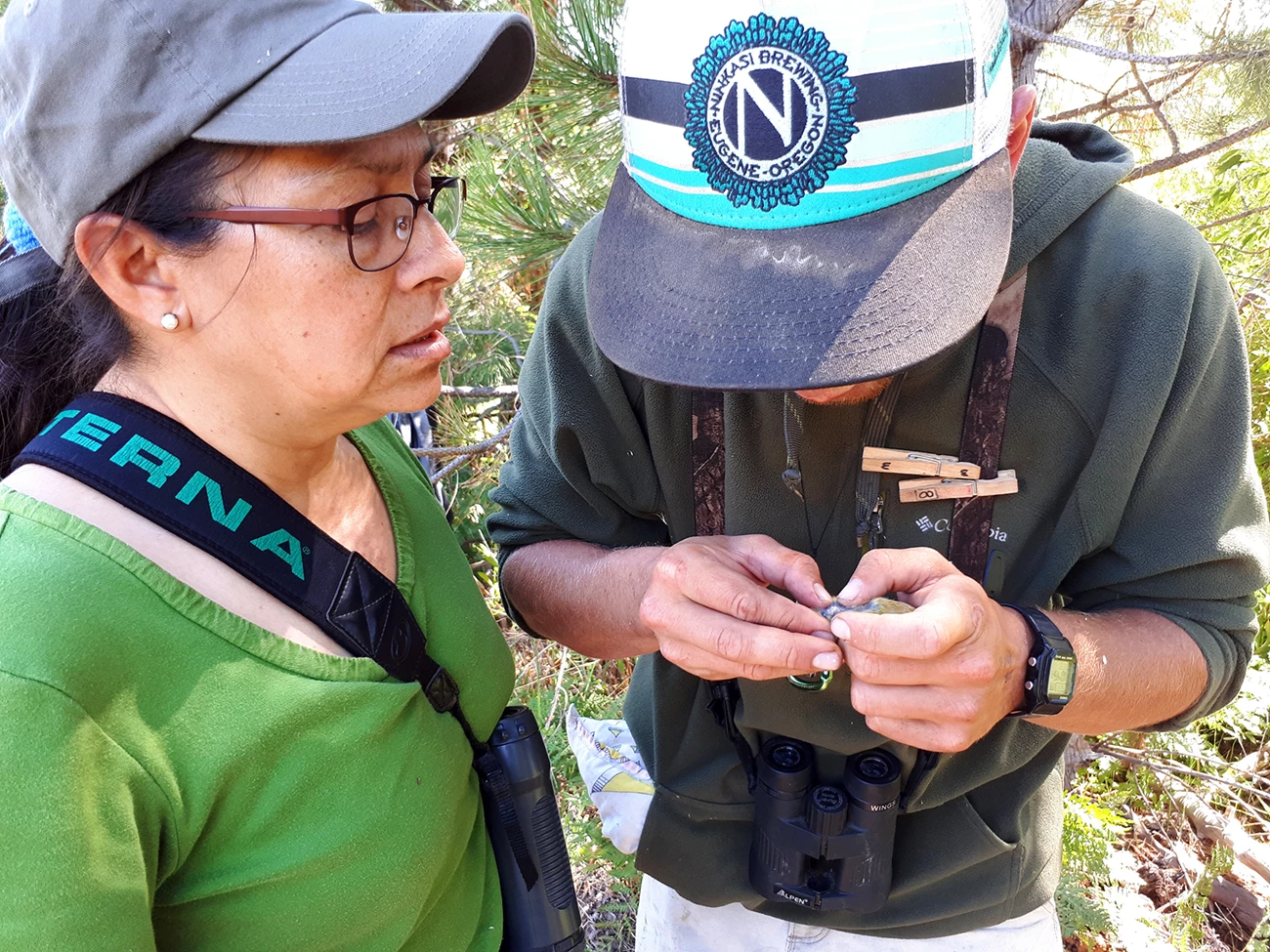 Heydi Herrera Rosales learns how to tell a bird's age A woman in a green shirt looks on while a man holding a bird demonstrates how to tell its age.