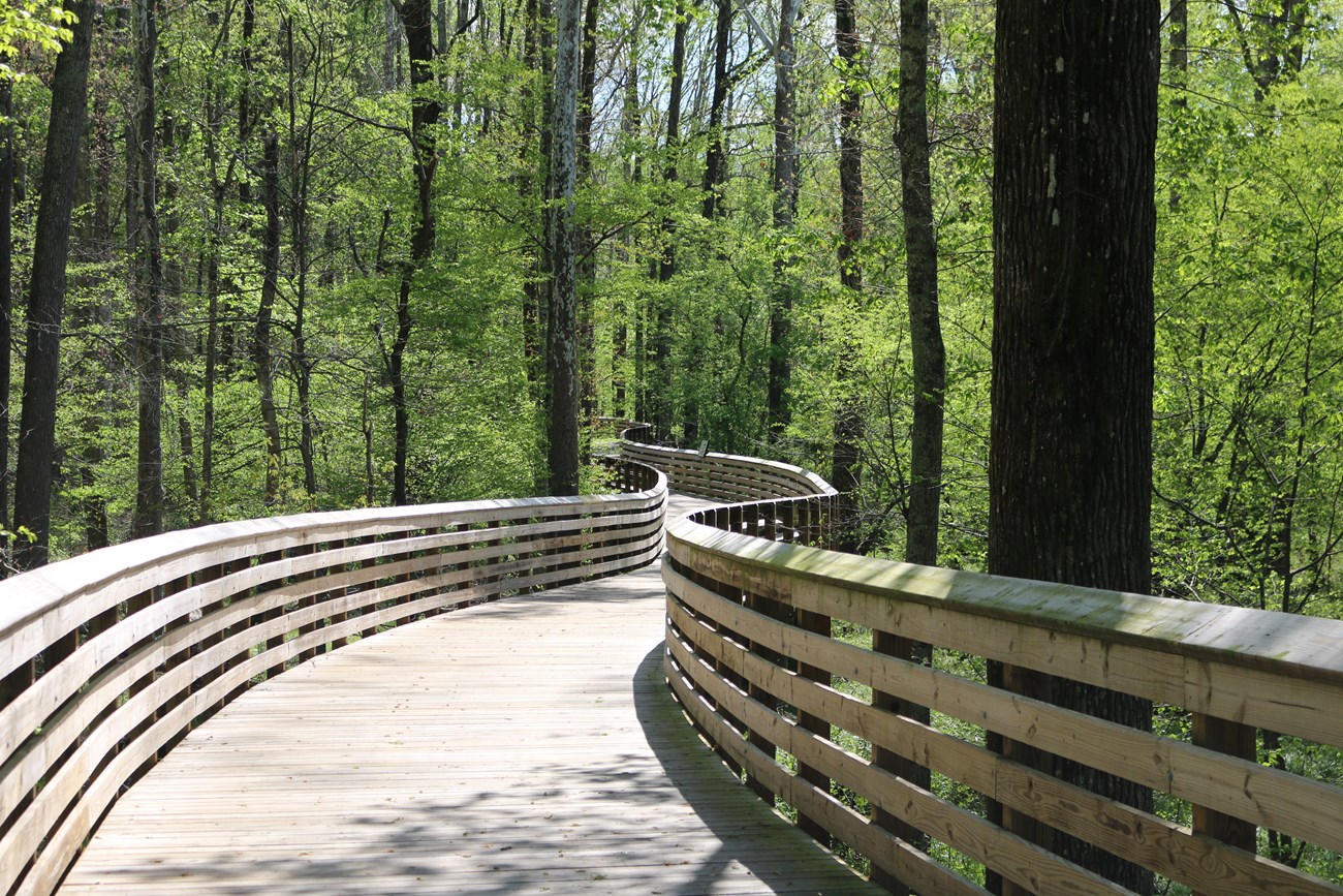 Section of greenway in High Point, North Carolina adjacent to the Deep River.