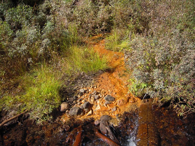 Iron-rich spring seep in Crater Lake National Park. Small orange colored spring seep winds through grass and shrubs.