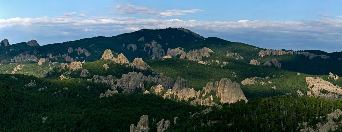 An undulating hillside of evergreen trees spiked with jagged clumps of granite peaks.