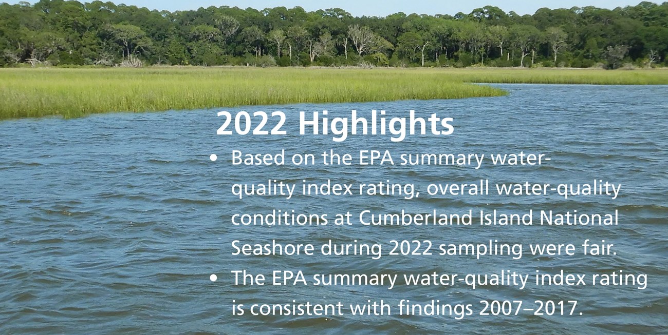 Report Highlights Blue water with marsh and trees in the background