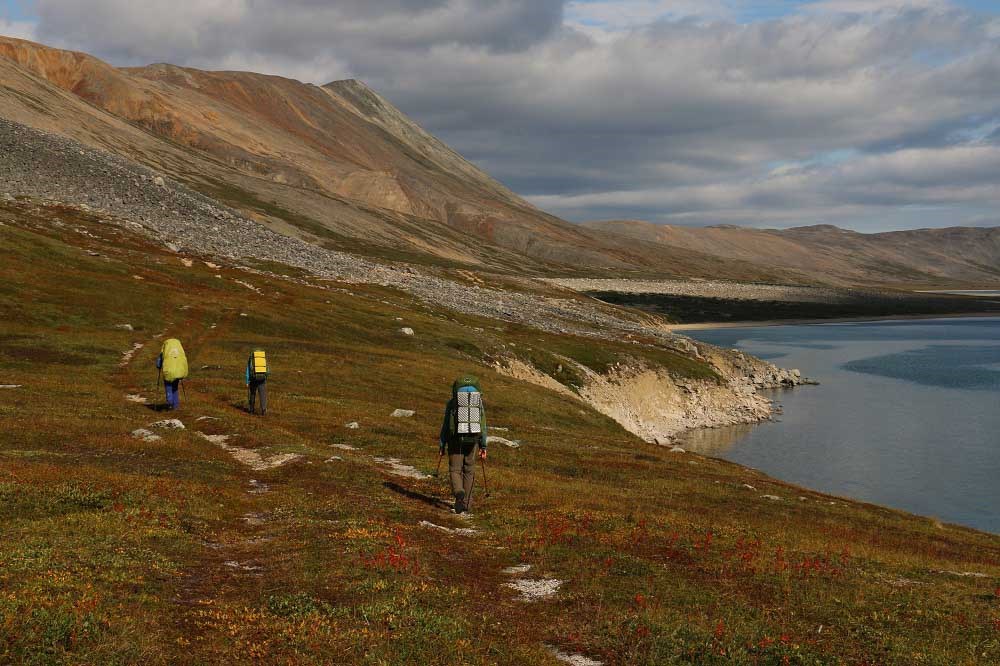 Three people hiking through the tundra in fall color.