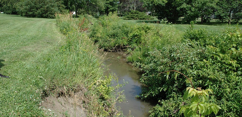 A narrow muddy creek lined by grasses and shrubs flowing through a mown area.