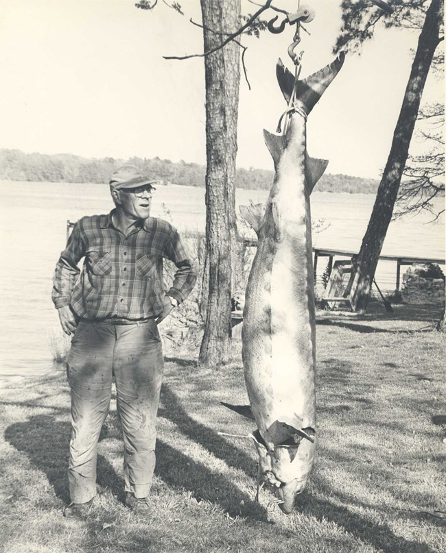 Fisherman Horace Binns with a large Atlantic sturgeon caught in 1967.