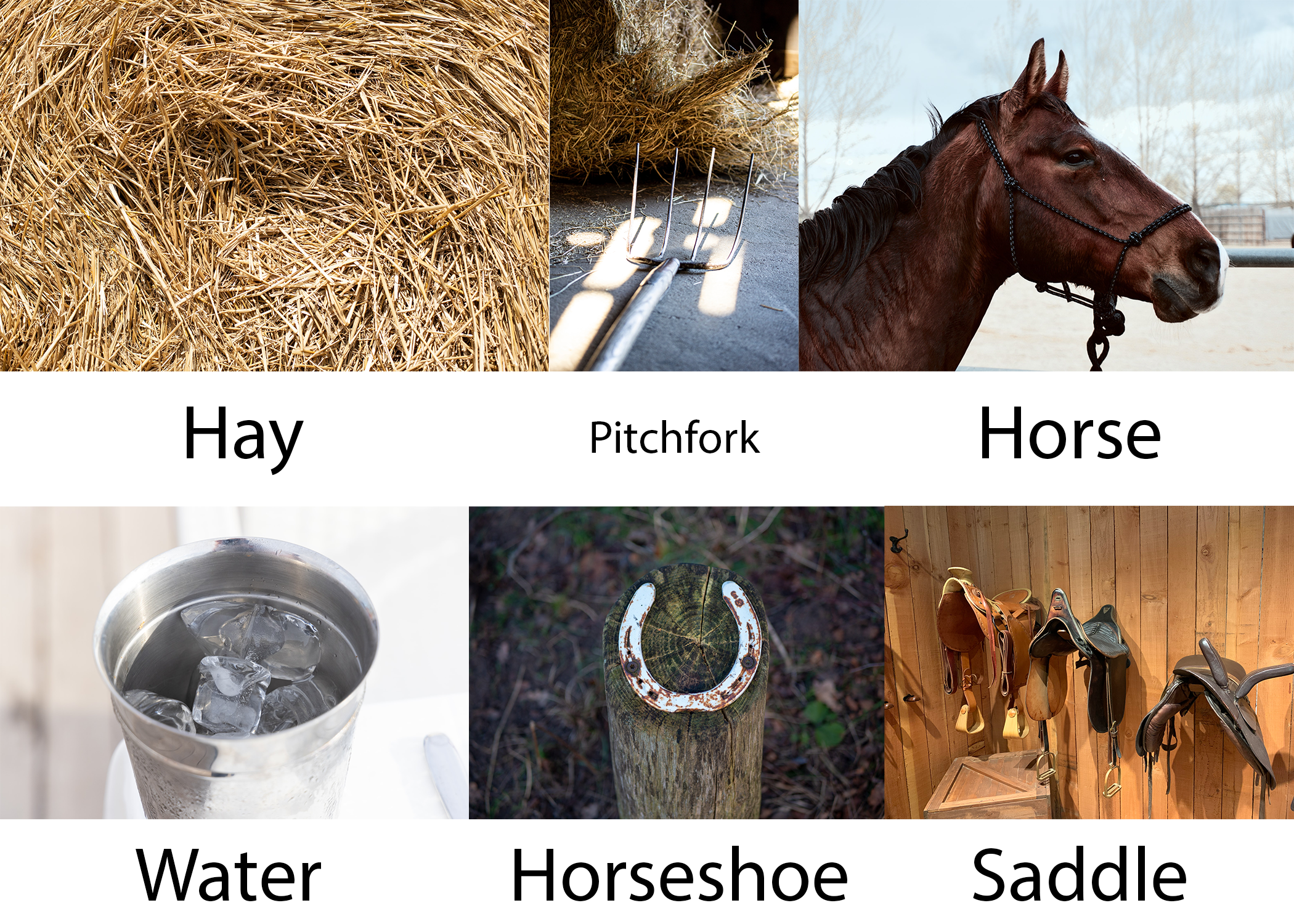 Horse Stable Activity From top left clockwise, various image of hay, a pitchfork on a floor, a horse, a bucket of water, a horseshoe, and three horse saddles.