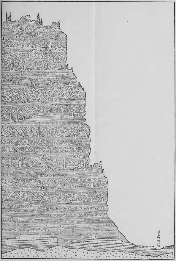 Huegele_Image_2_Holmes_Yellowstone_Fossil_Forests A hand drawn black and white sketch showing dozens of different layers and showing where standing logs have been discovered.